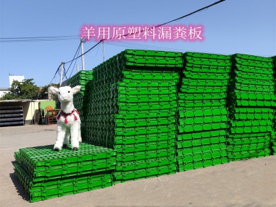 大型羊場選用塑料漏糞板作為羊床的優(yōu)勢(shì)探討